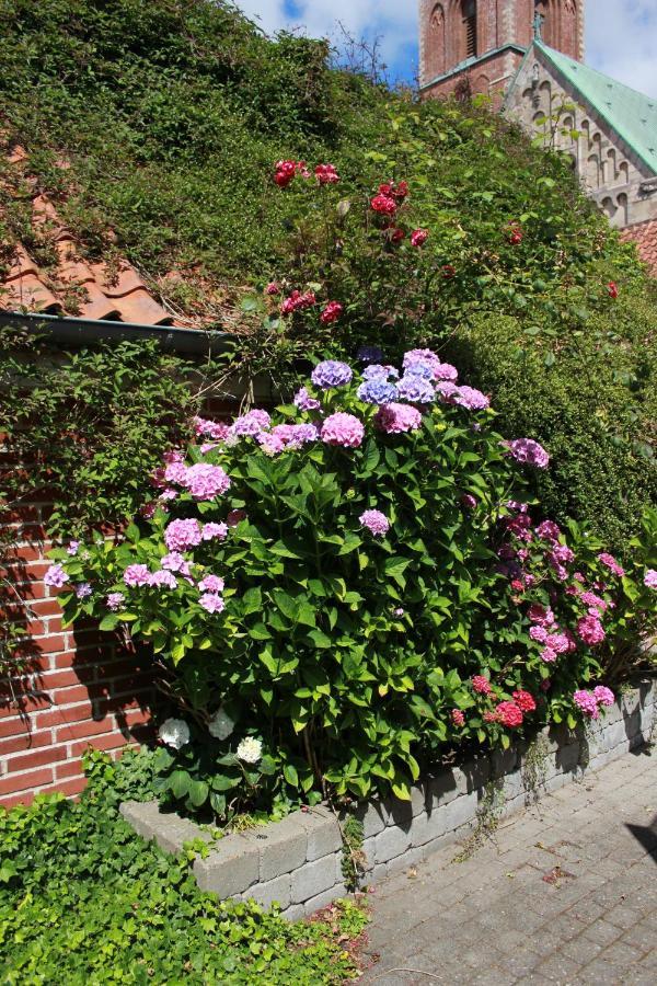 Ribe Ferielejlighed Buitenkant foto